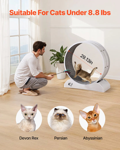 SucceBuy Cat Exercise Wheel 31.5 Inch Large Treadmill With Brake