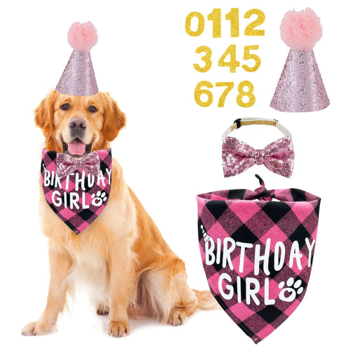 Dog Birthday Party Supplies Set With Hat And Bandana For Medium Large Dogs