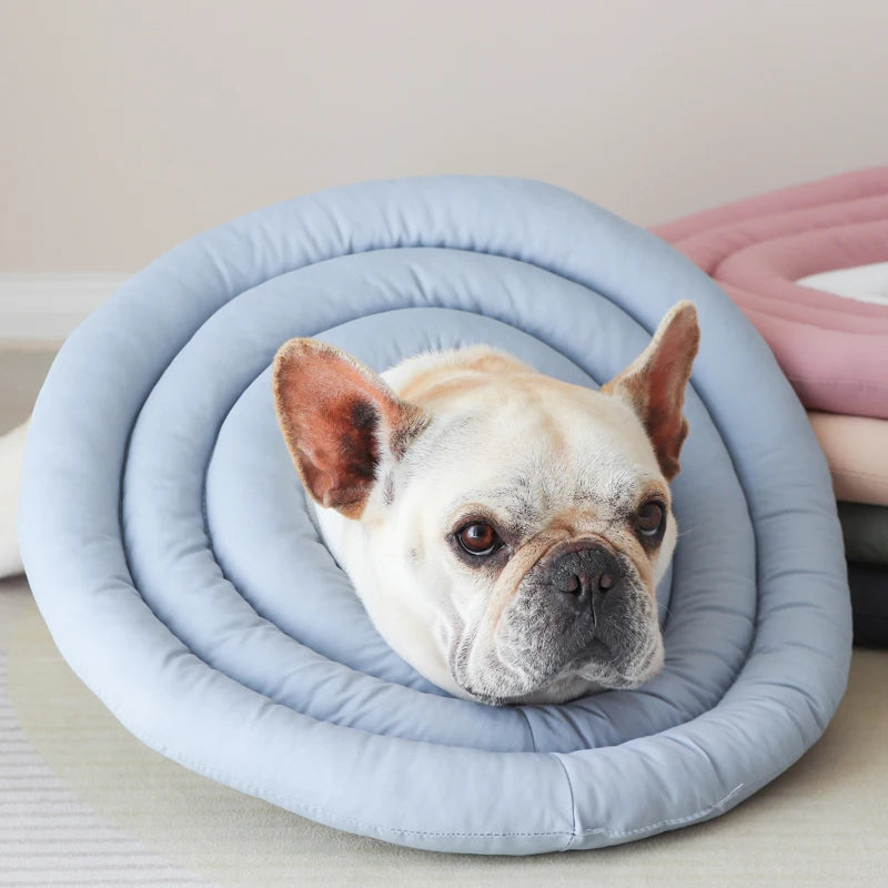 Pet Elizabethan Collar Protective Medical Cone For Dogs And Cats