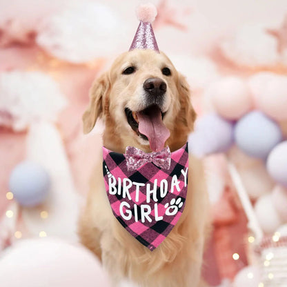 Dog Birthday Party Supplies Set With Hat And Bandana For Medium Large Dogs