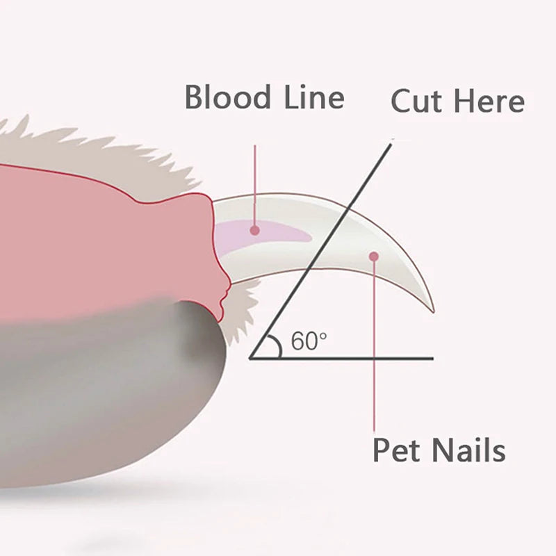 Professional Pet Nail Clippers With LED Light For Dogs And Cats