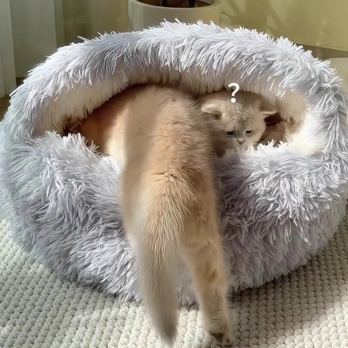 2 In 1 Soft Plush Pet Bed With Cover Round Cat Bed For Small Dogs