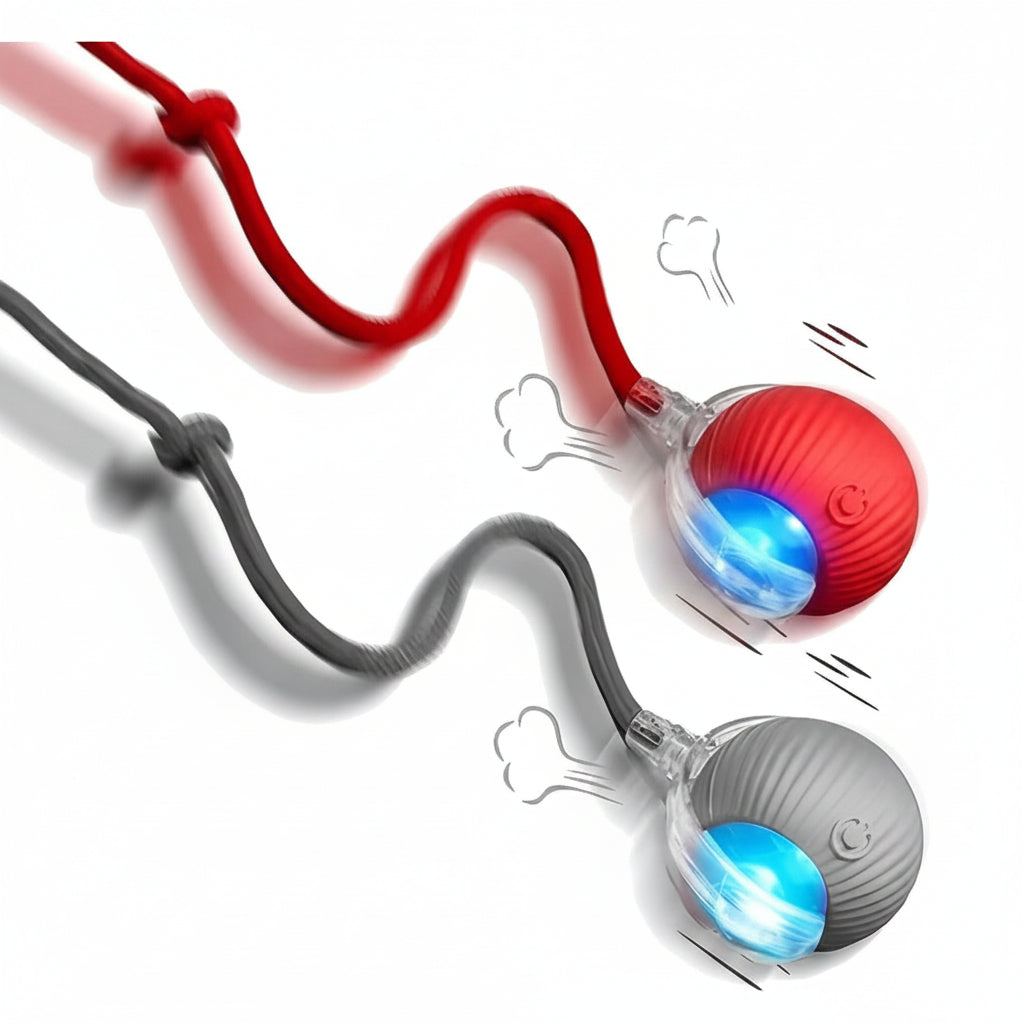Interactive Rolling Ball Toy for Dogs and Cats - Smart Pet Training