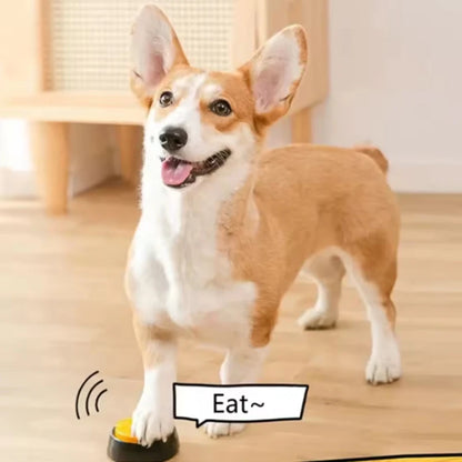 Interactive Dog Toys With Recordable Talking Buttons For Pet Training