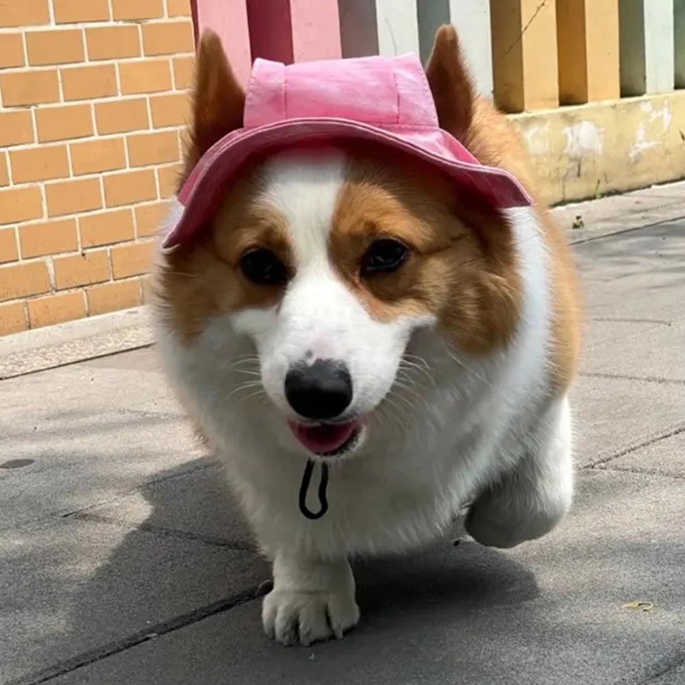 Cute French Bulldog Pet Hats With Ear Holes For Small Dogs
