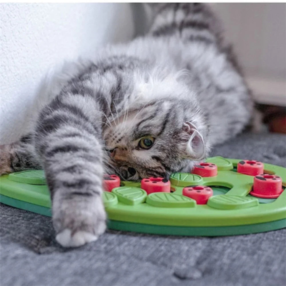 Interactive Cat Treat Puzzle Toy - Stimulating Food Dispenser