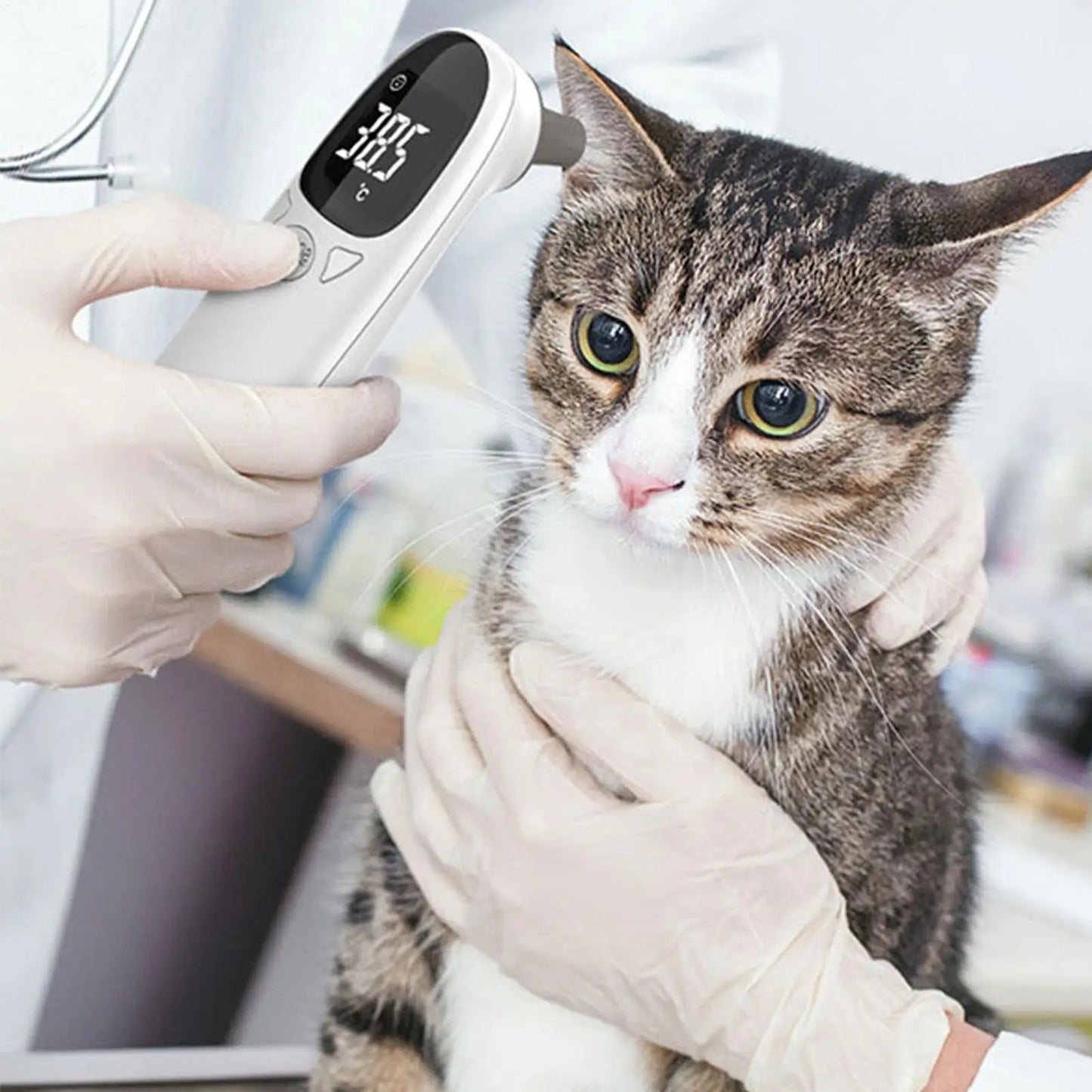 Infrared Pet Thermometer - Non-Contact Digital Animal Temperature
