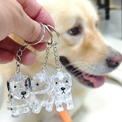 Pet Memorial Keychain - Dog Hair Storage Pendant With Resin Capsule