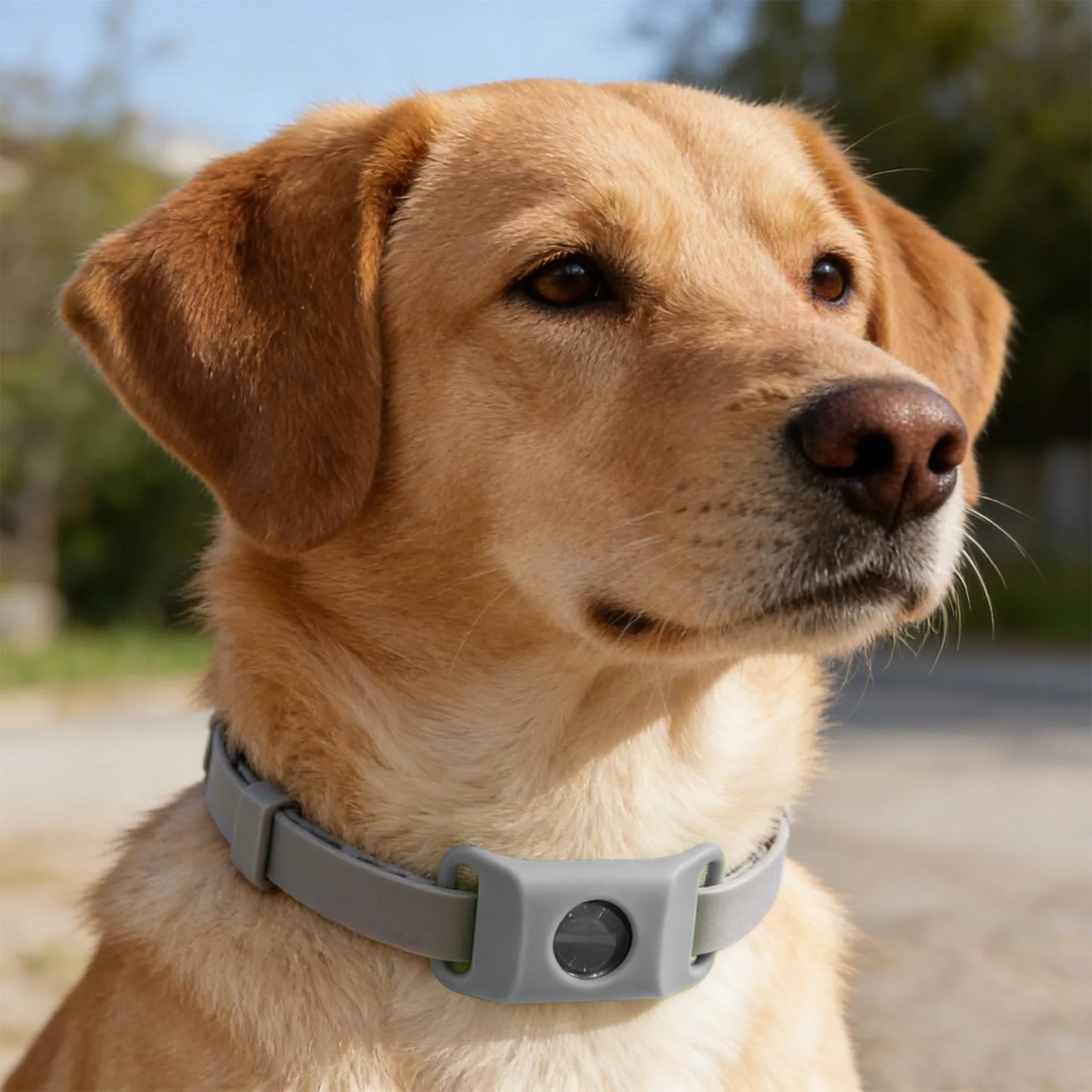 Flea And Tick Pendant For Dogs Natural Protection Green