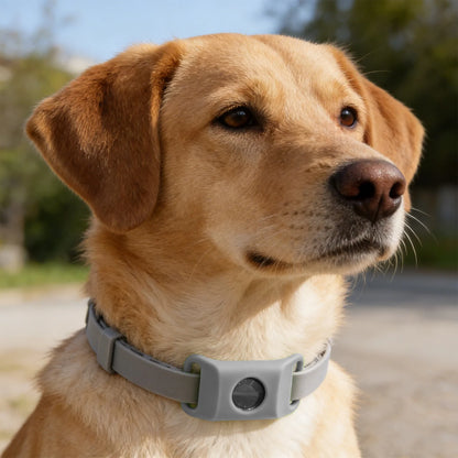 Flea And Tick Pendant For Dogs Natural Protection Green
