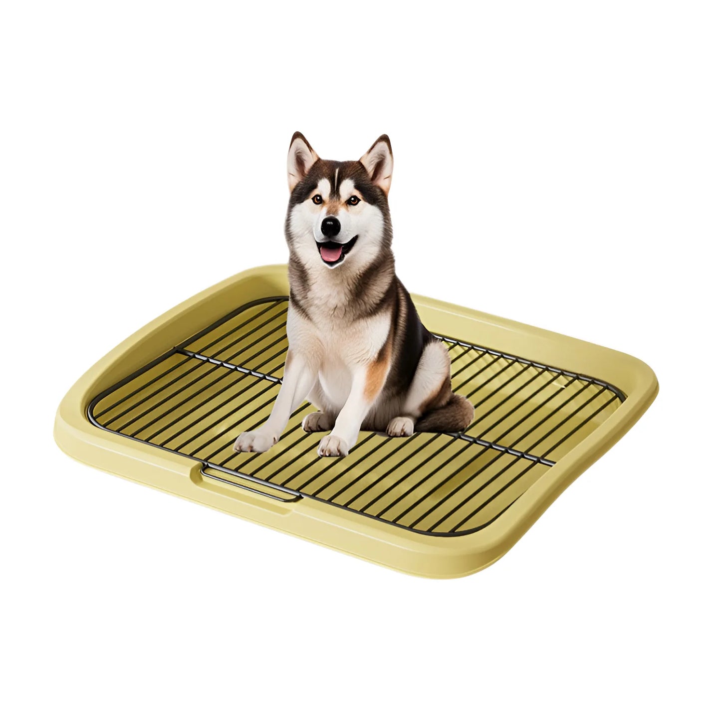 Large Dog Toilet Training Equipment - Stainless Steel Poop Collector