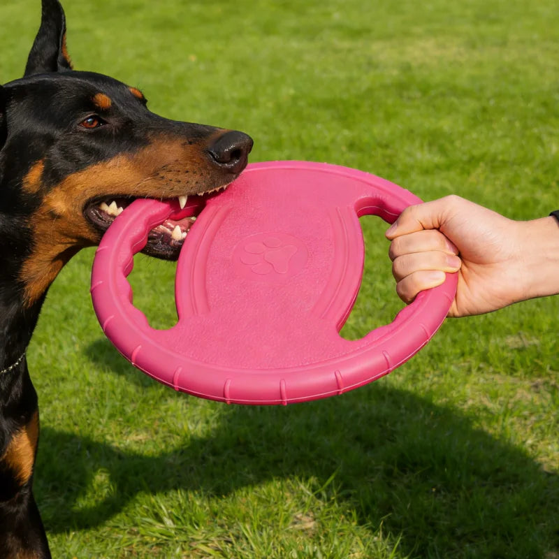 Dog Flying Disc EVA Chew Toy - Indestructible Pet Training Disc