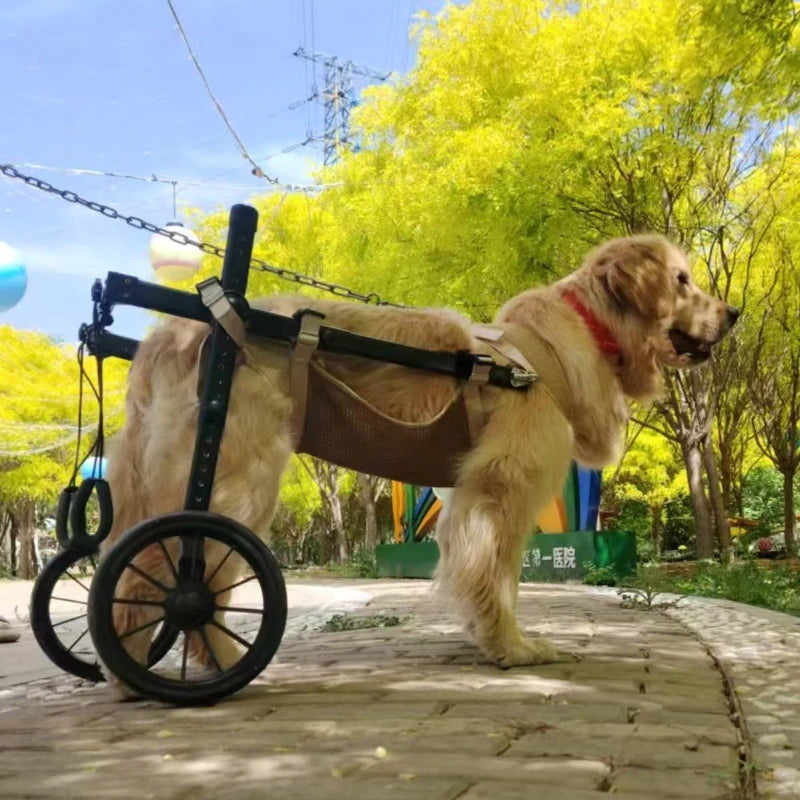Pet Dog Wheelchair Rehabilitation Walking Assist Cart Training