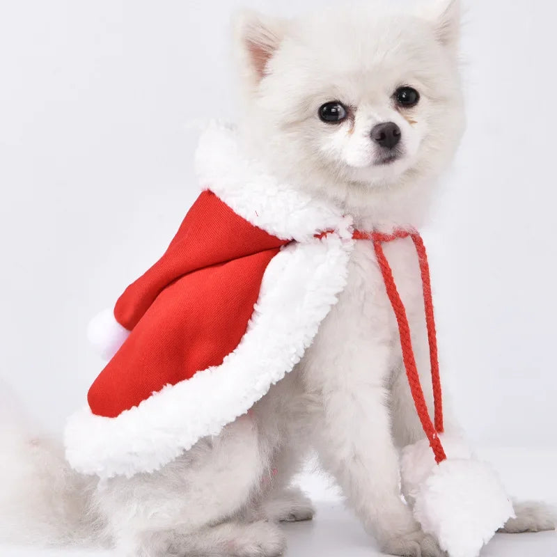 Pet Christmas Cloak Set For Dogs And Cats Holiday Costume