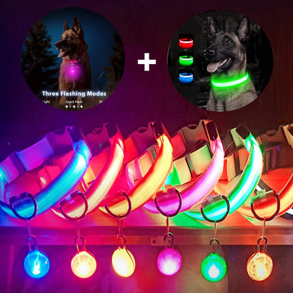 USB Charging LED Dog Collar With Detachable Pendant For Night Safety