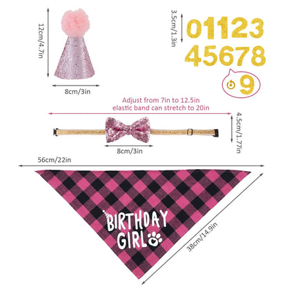 Dog Birthday Party Supplies Set With Hat And Bandana For Medium Large Dogs