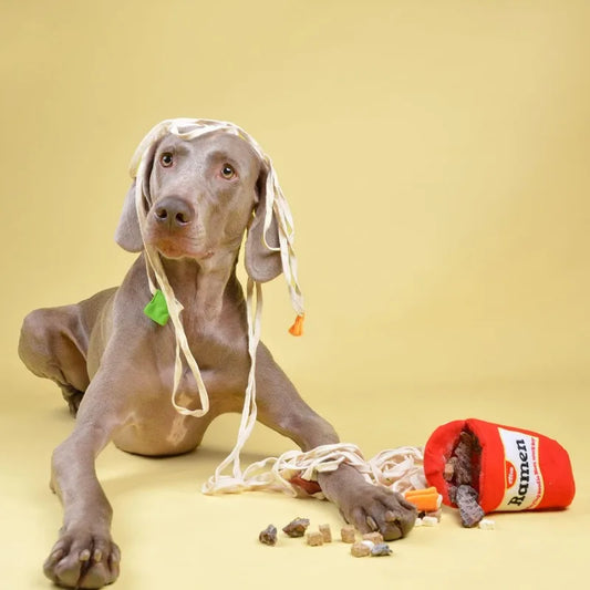 Interactive Dog Puzzle Toys For Small And Medium Dogs