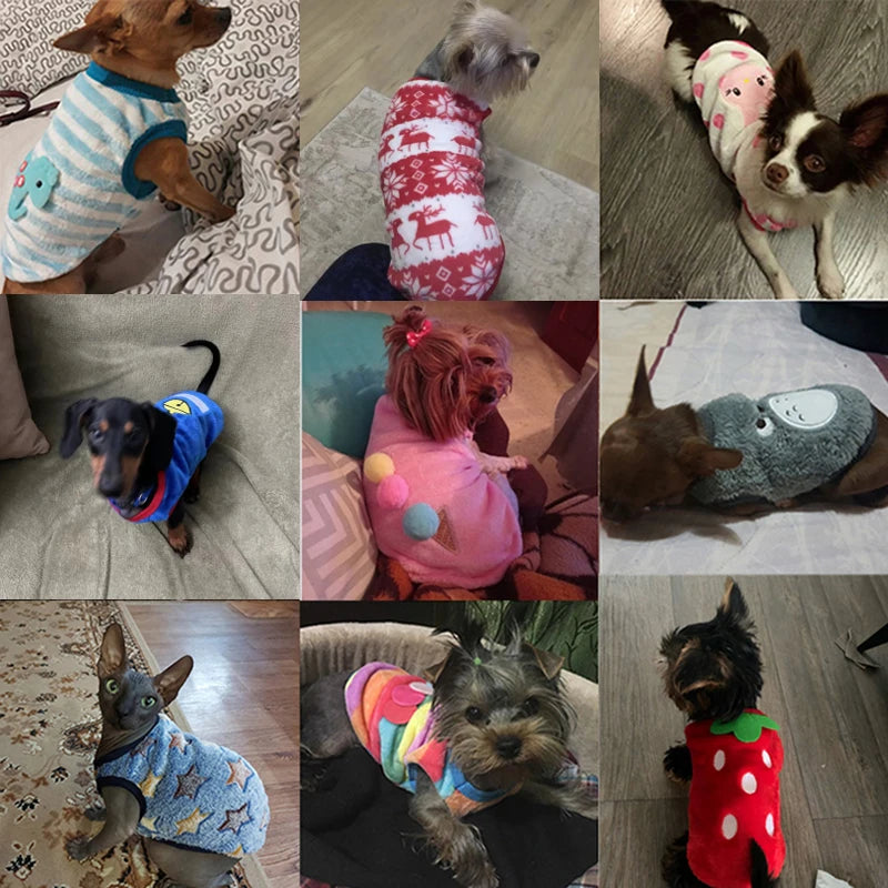 Cute Dog Winter Vest For Small Dogs Cats Warm Pet Sweater Jacket