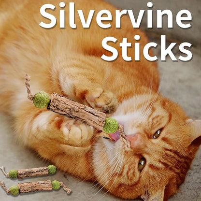 Natural Catnip Teeth Cleaning Stick For Cats - Matatabi Chew Toy