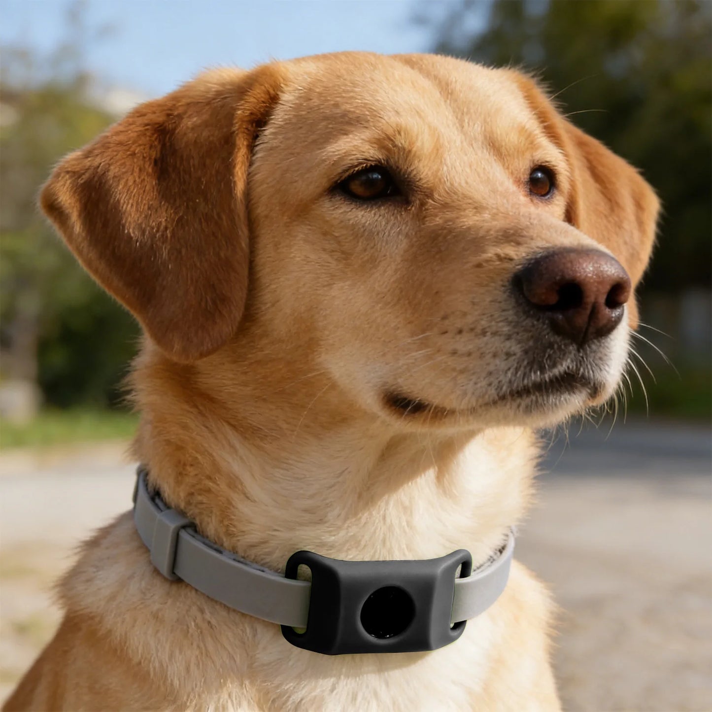 Flea And Tick Pendant For Dogs Natural Protection Green