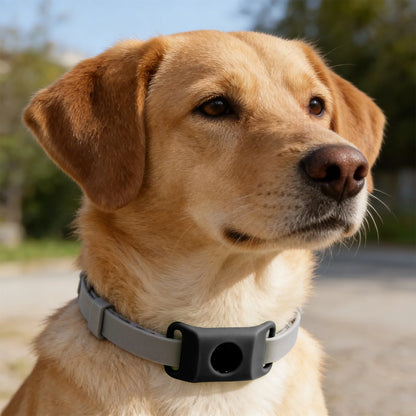 Flea And Tick Pendant For Dogs Natural Protection Green
