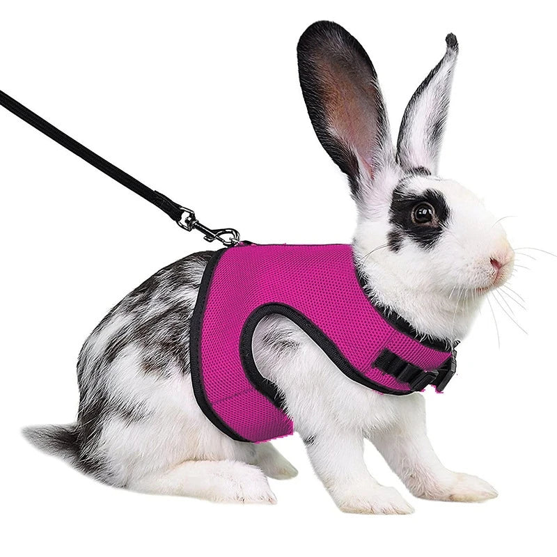 Breathable Pet Vest Harness For Small Animals - Adjustable Comfort Fit