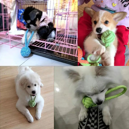 Dog Rope Toy - Cotton Chew Ball for Teeth Cleaning and Tug of War