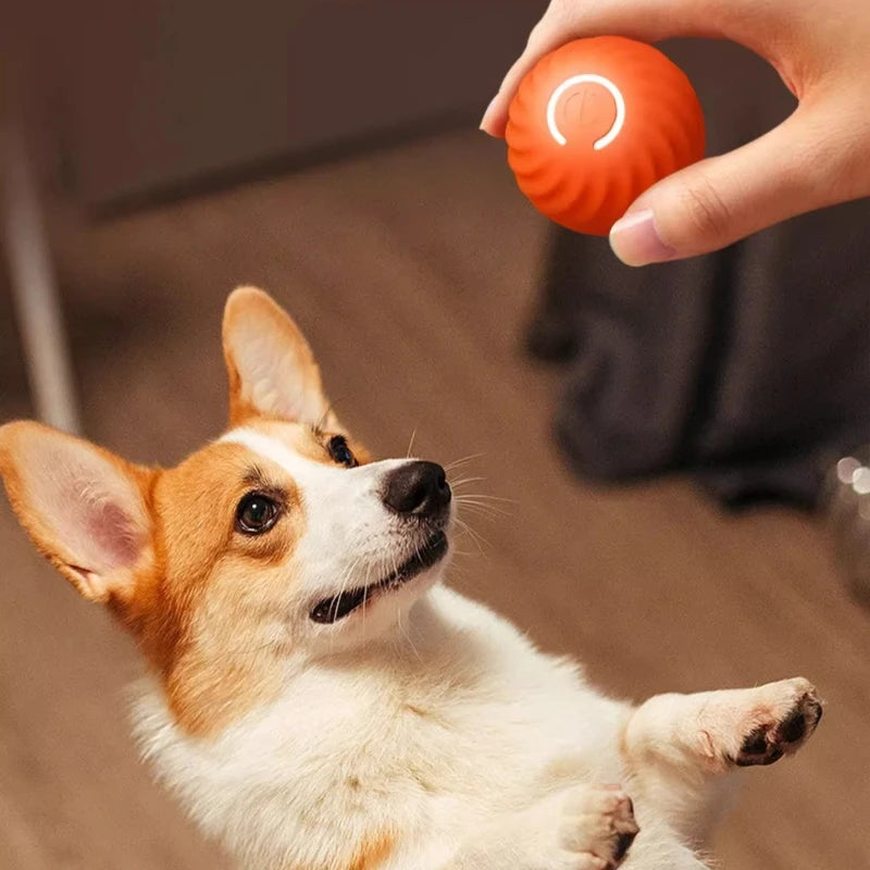 Smart Electric Ball Dog Toy With USB Charging And Gravity Jump