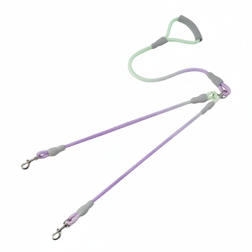 Double Pet Leash With Jewel-Tone Gradient For Middle Eastern Pet Owners