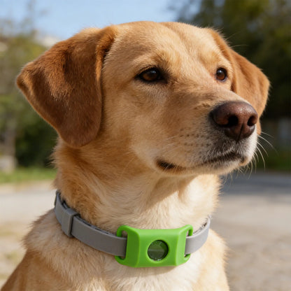 Flea And Tick Pendant For Dogs Natural Protection Green