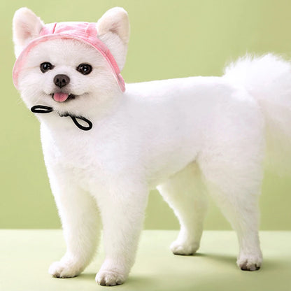 Cute French Bulldog Pet Hats With Ear Holes For Small Dogs