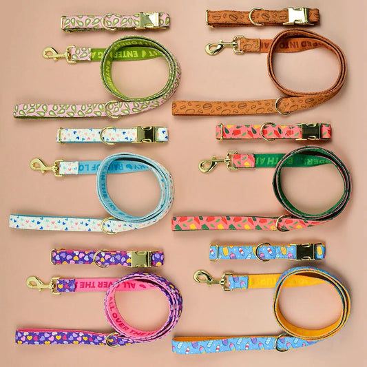 Luxury Colorful Dog Collar And Leash Set For Small Medium Large Dogs