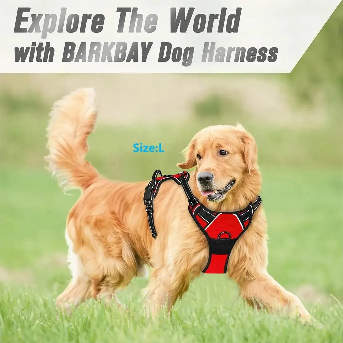 Dog Harness Vest Set With Collar And Leash For All Size Dogs