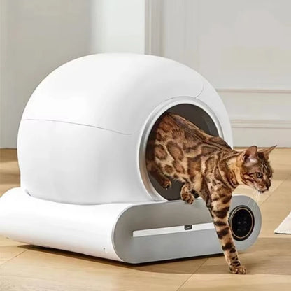Smart Automatic Cat Litter Box - Large Self-Cleaning With App Control