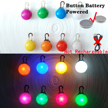 USB Charging LED Dog Collar With Detachable Pendant For Night Safety