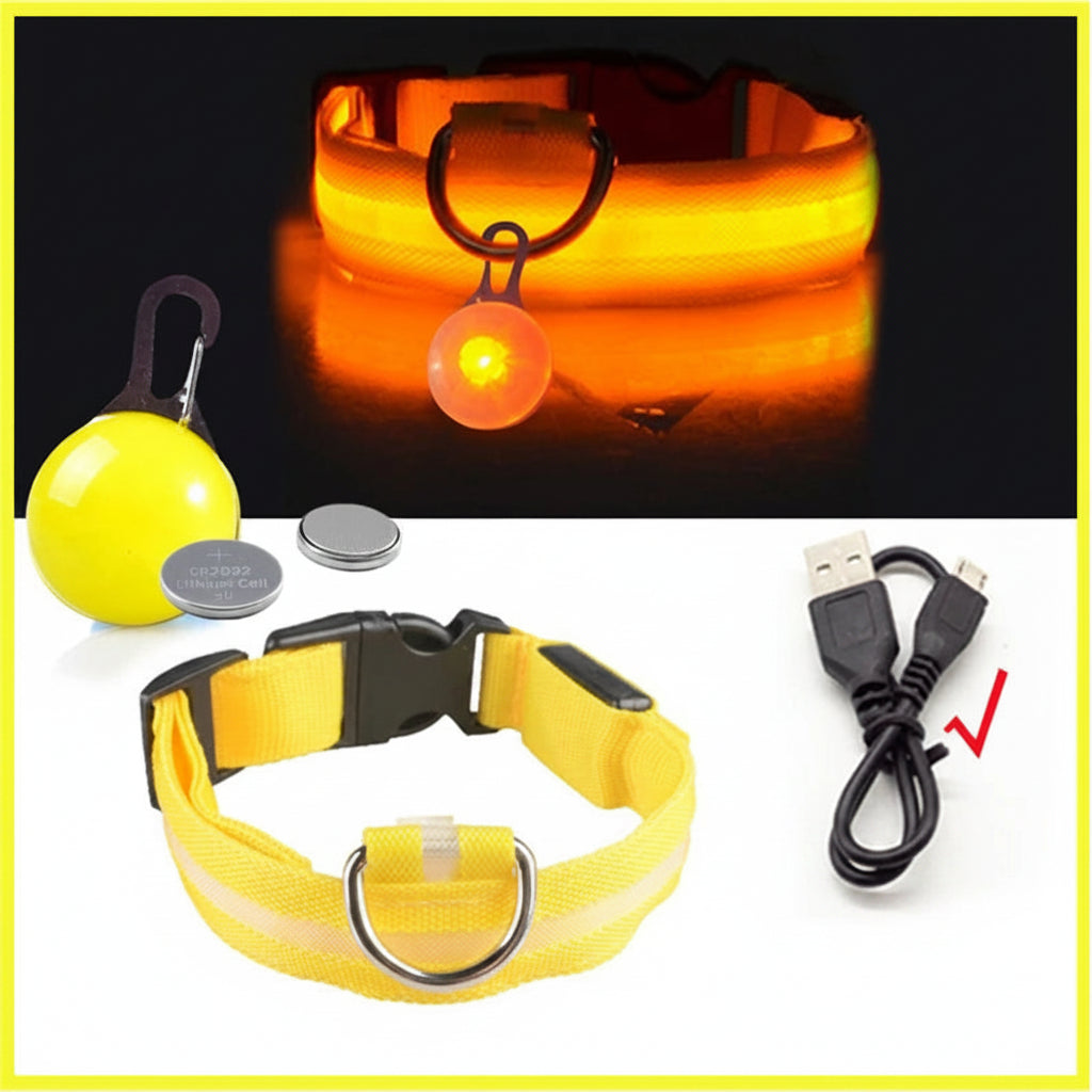 USB Charging LED Dog Collar With Detachable Pendant For Night Safety