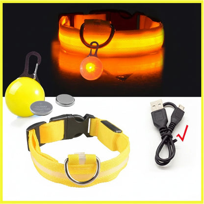 USB Charging LED Dog Collar With Detachable Pendant For Night Safety