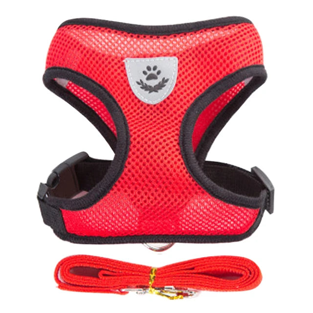 Dog Harness For Small Dogs - Adjustable Pet Harness And Leash Set