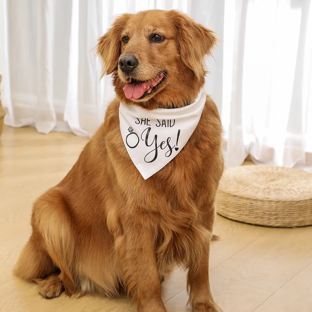 Dog Wedding Bandana She Said Yes Engagement Announcement Pet Scarf