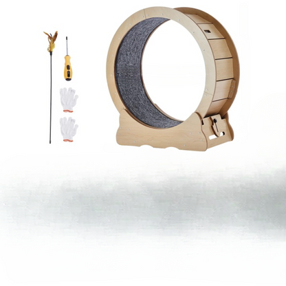 Large Wooden Cat Exercise Wheel With Detachable Carpet