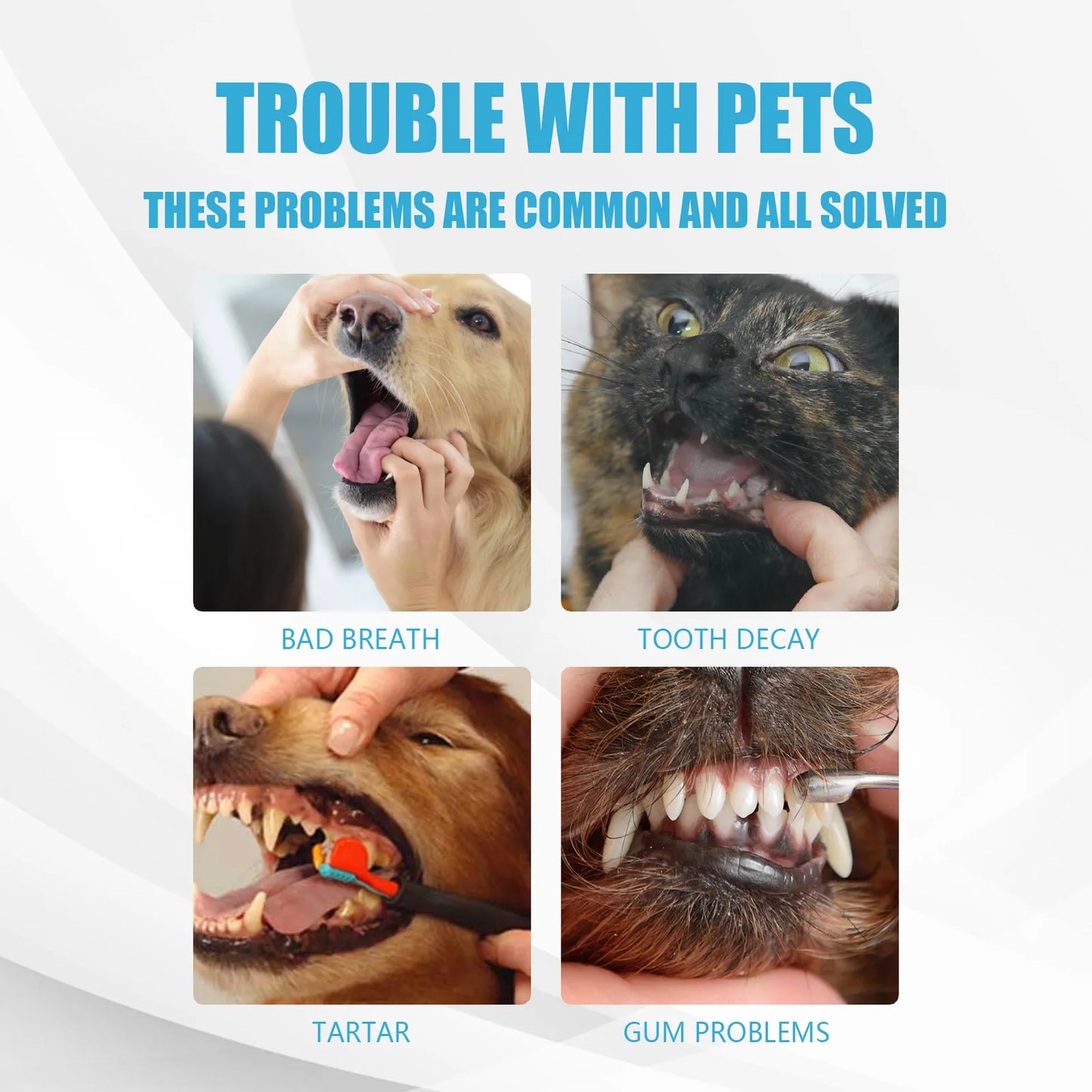 Pet Toothpaste Edible Formula for Dogs and Cats Daily Use