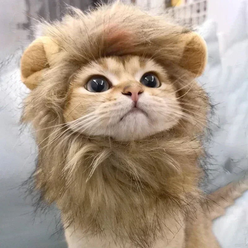 Cat Lion Mane Costume Pet Cosplay Hat for Halloween Christmas