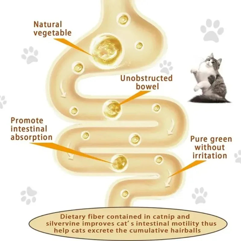 4 in 1 Rotating Catnip Ball - Teeth Cleaning & Digestive Health Toy