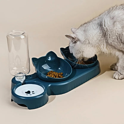 Pet Bowls With Water Feeder - 3 In 1 Tilted Cat Bowl Set