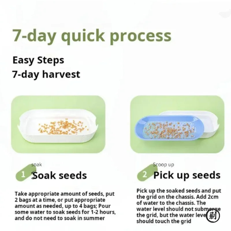Hydroponic Cat Grass Growing Kit - Soilless Planting Pot Set