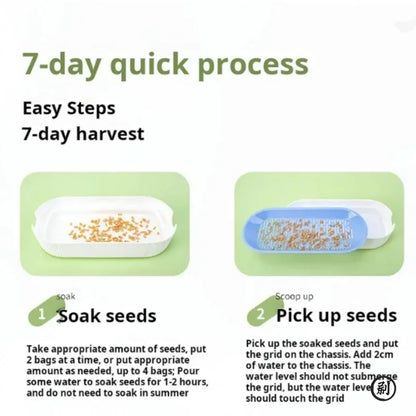 Hydroponic Cat Grass Growing Kit - Soilless Planting Pot Set