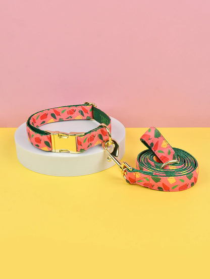 Luxury Colorful Dog Collar And Leash Set For Small Medium Large Dogs