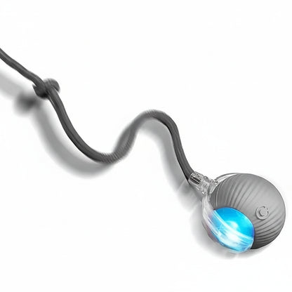 Interactive Rolling Ball Toy for Dogs and Cats - Smart Pet Training