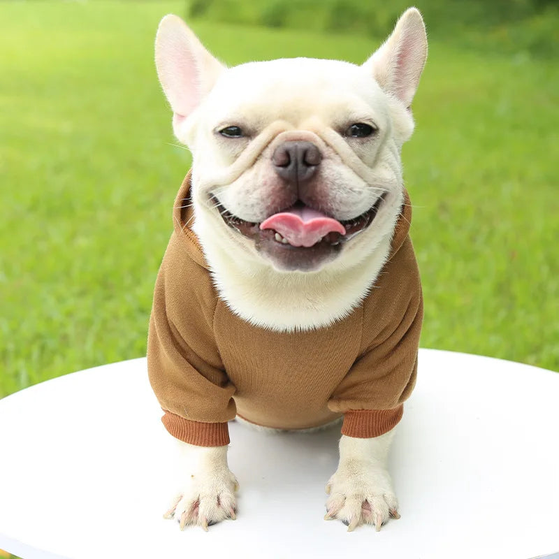 Winter Dog Hoodie For Small Medium Dogs Warm Pet Coat Jacket