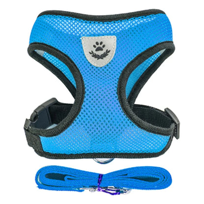 Dog Harness For Small Dogs - Adjustable Pet Harness And Leash Set